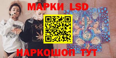 прущие грибы Краснокаменск