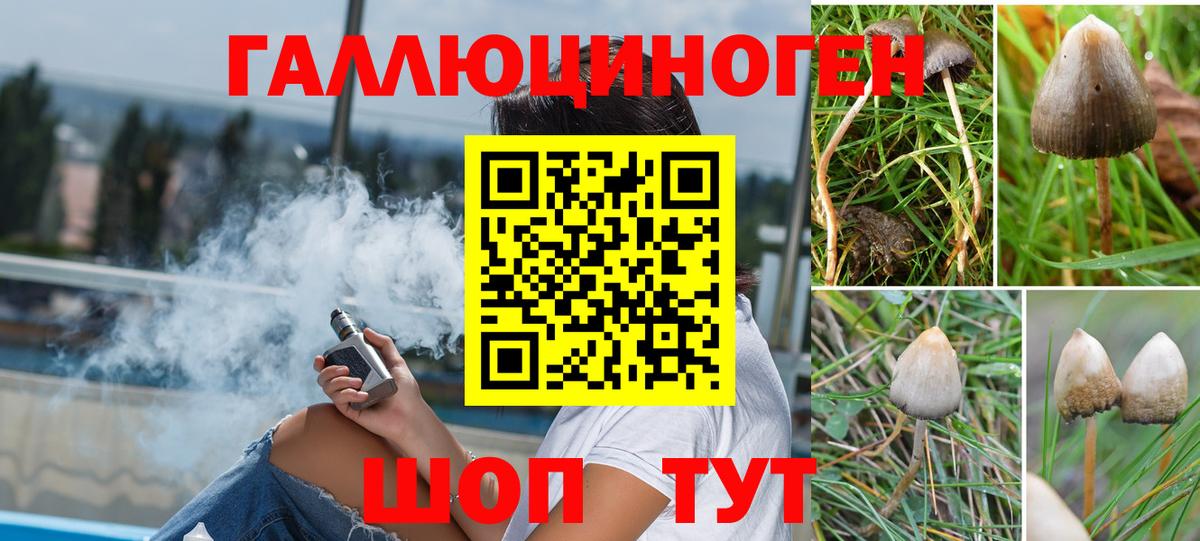 Крымск  Галлюциногенные грибы мухоморы  Псилоцибиновые грибы MAGIC MUSHROOMS  Вход с VPN 
