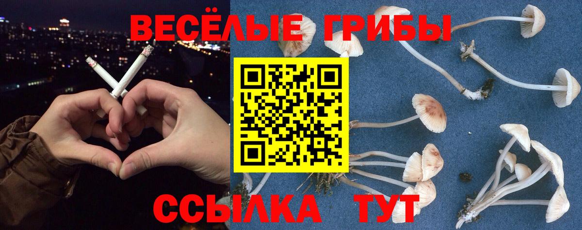 LSD-25  ГАШИШ  A-PVP СОЛЬ   МАРИХУАНА  COCAIN  Крымск  Меф   Гашиш  Вход с VPN 